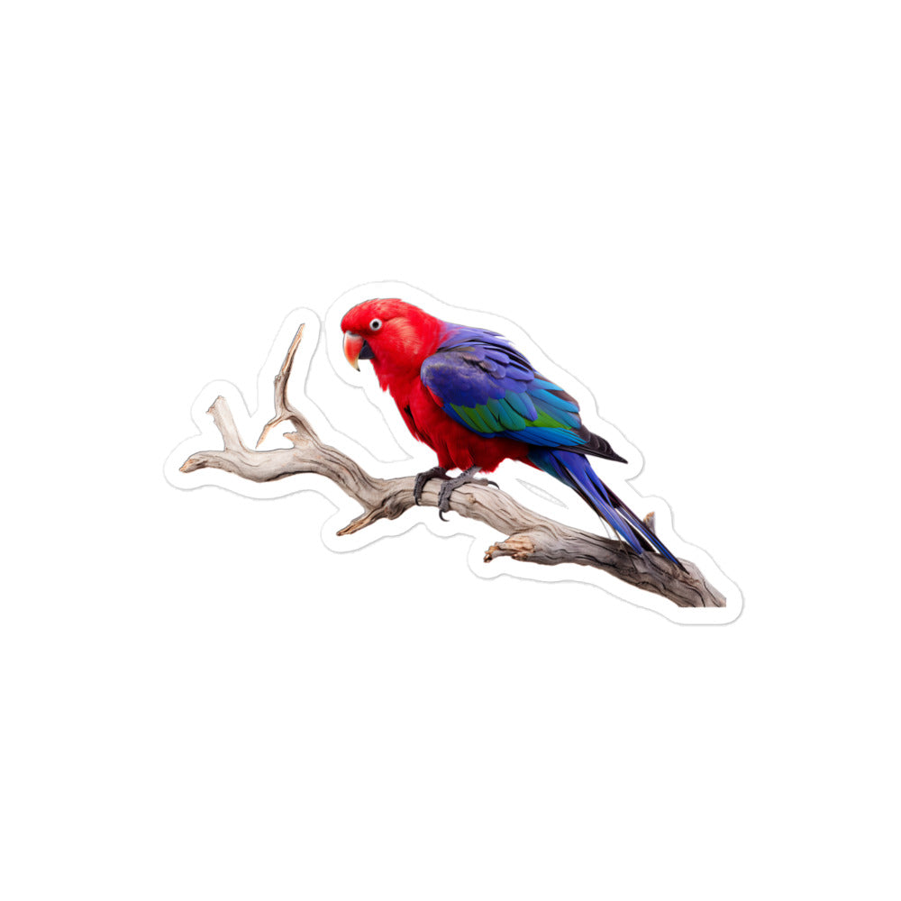 Eclectus Parrot Sticker - Stickerfy.ai