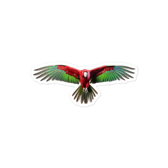 Eclectus Parrot Sticker - Stickerfy.ai