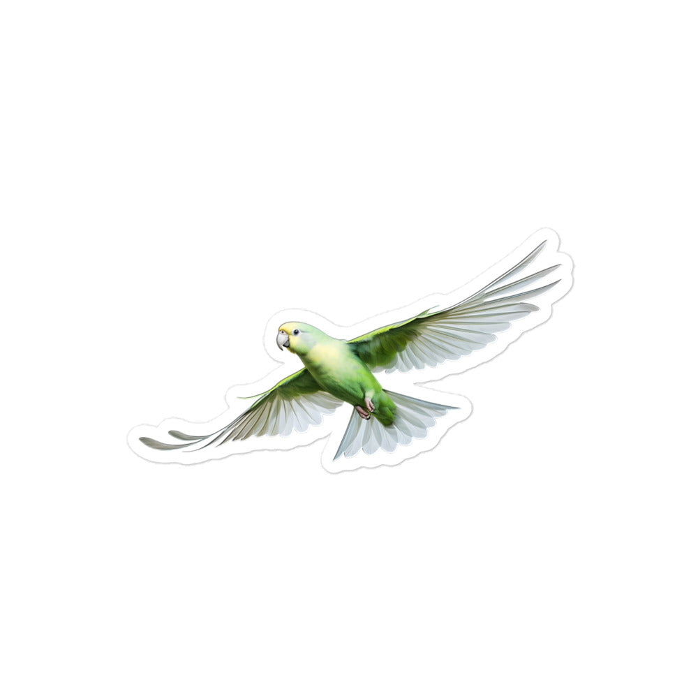 Quaker Parrot Sticker - Stickerfy.ai