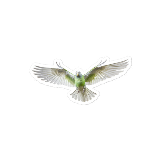 Quaker Parrot Sticker - Stickerfy.ai