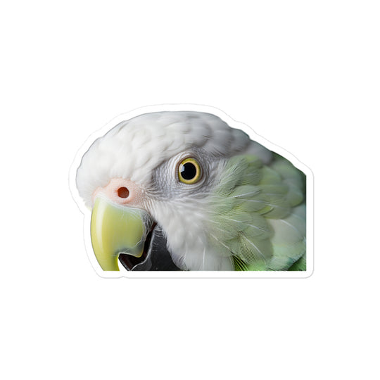 Quaker Parrot Sticker - Stickerfy.ai