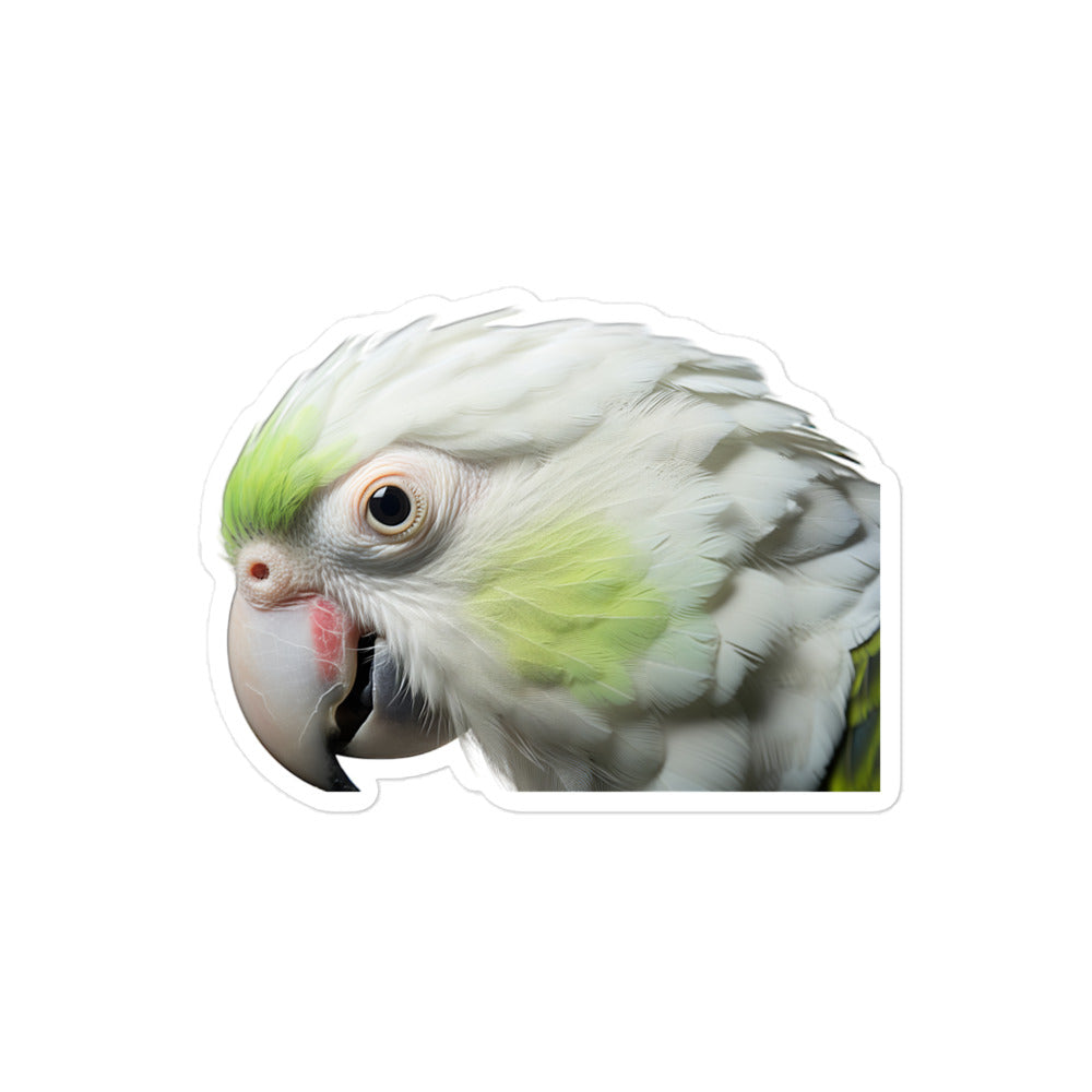 Quaker Parrot Sticker - Stickerfy.ai