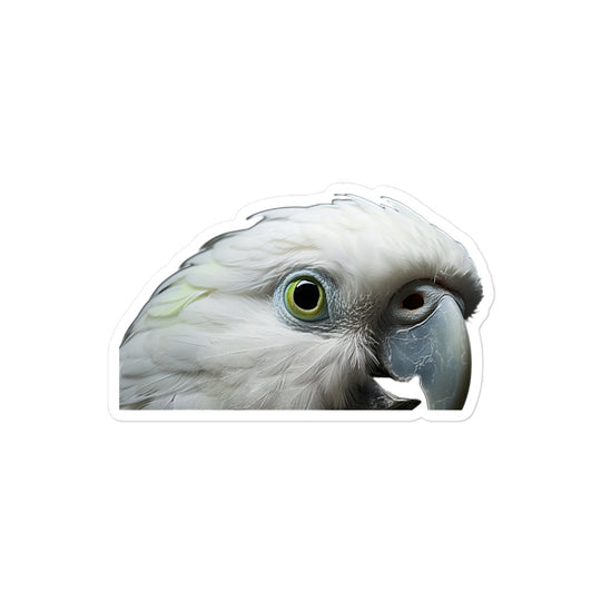 Quaker Parrot Sticker - Stickerfy.ai