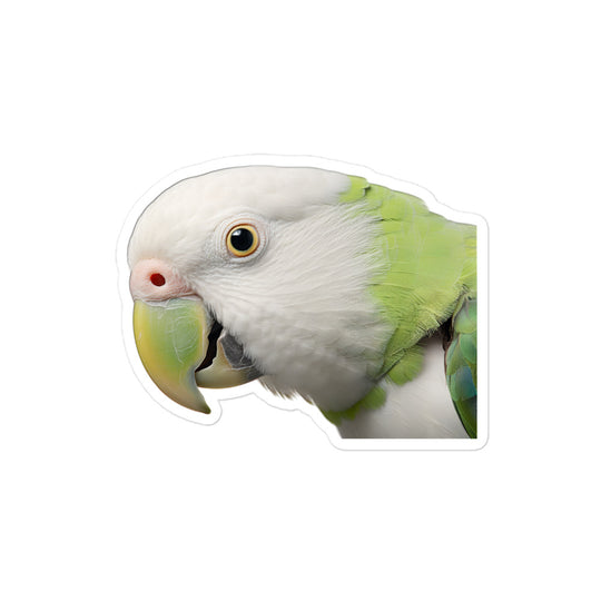 Quaker Parrot Sticker - Stickerfy.ai