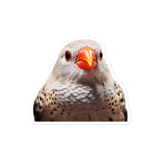 Zebra Finch Sticker - Stickerfy.ai