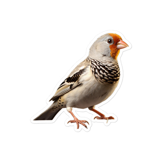 Zebra Finch Sticker - Stickerfy.ai