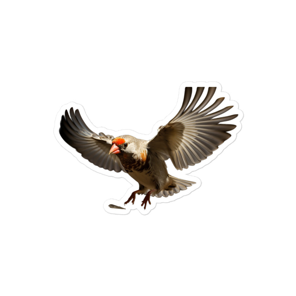 Zebra Finch Sticker - Stickerfy.ai