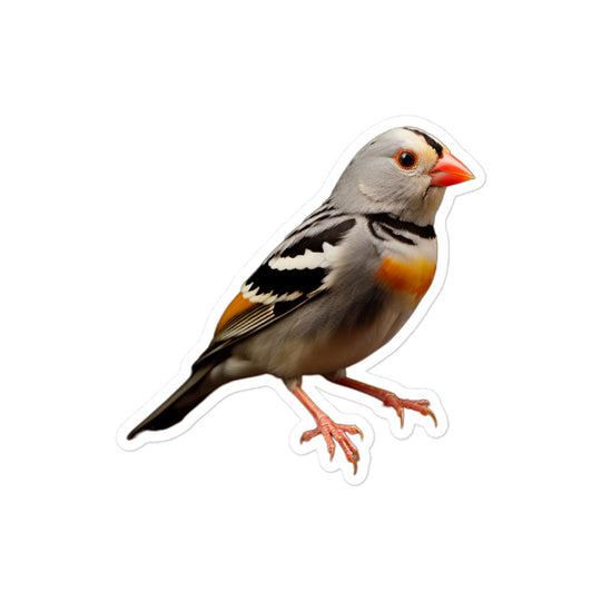 Zebra Finch Sticker - Stickerfy.ai