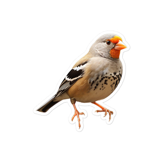 Zebra Finch Sticker - Stickerfy.ai