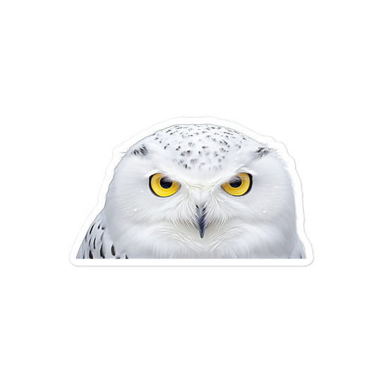 Snowy Owl Sticker - Stickerfy.ai