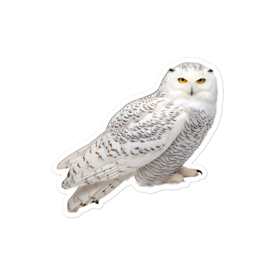 Snowy Owl Sticker - Stickerfy.ai