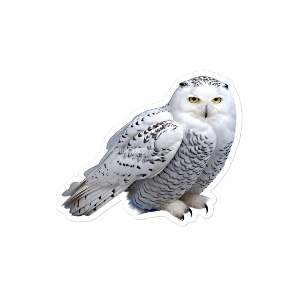 Snowy Owl Sticker - Stickerfy.ai