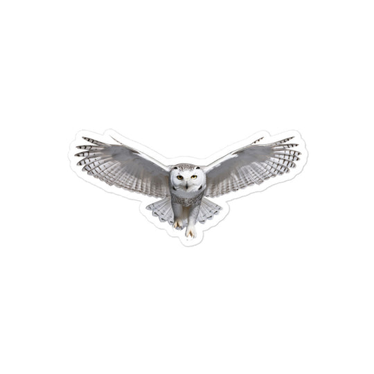 Snowy Owl Sticker - Stickerfy.ai