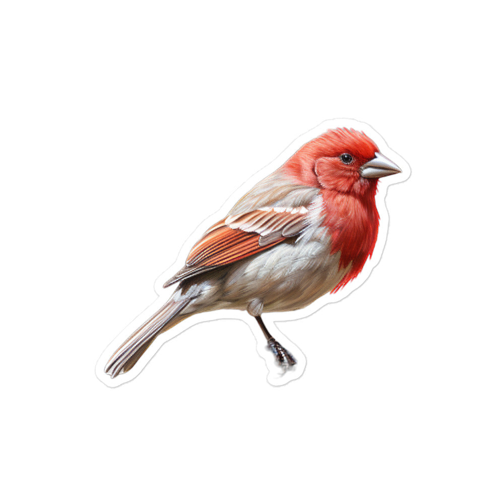 Red Headed Finch Sticker - Stickerfy.ai