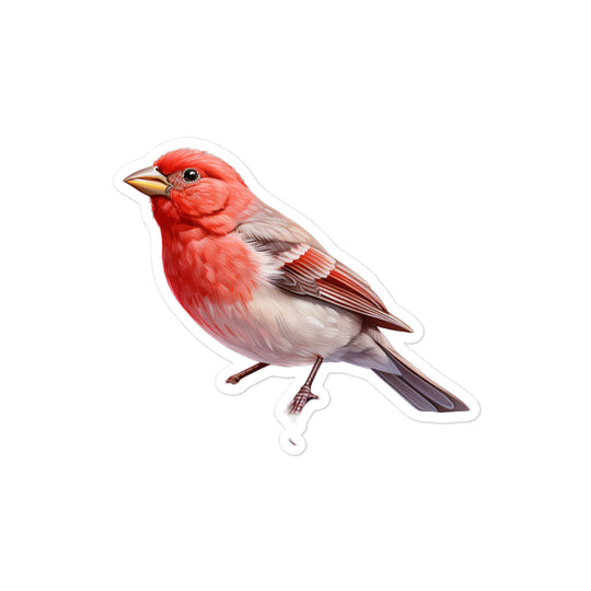 Red Headed Finch Sticker - Stickerfy.ai