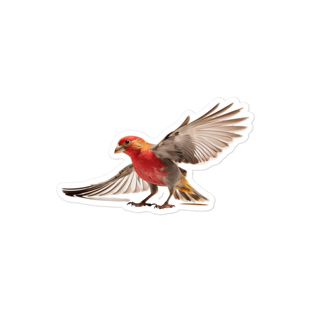 Red Headed Finch Sticker - Stickerfy.ai