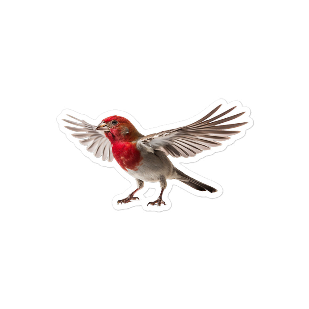 Red Headed Finch Sticker - Stickerfy.ai