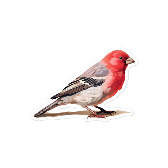 Red Headed Finch Sticker - Stickerfy.ai