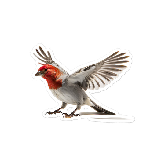 Red Headed Finch Sticker - Stickerfy.ai