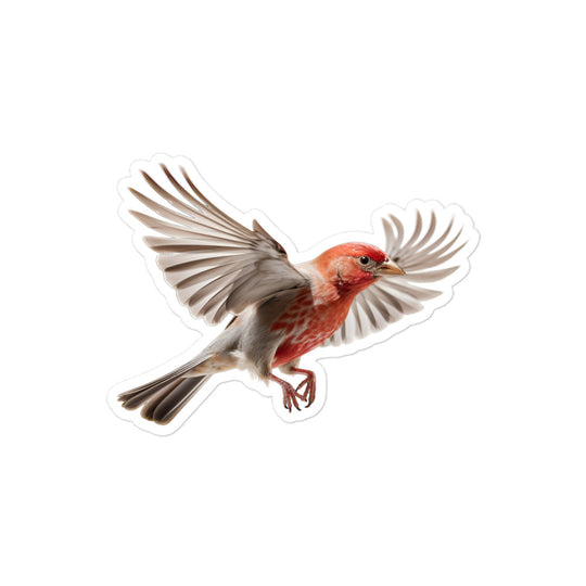 Red Headed Finch Sticker - Stickerfy.ai