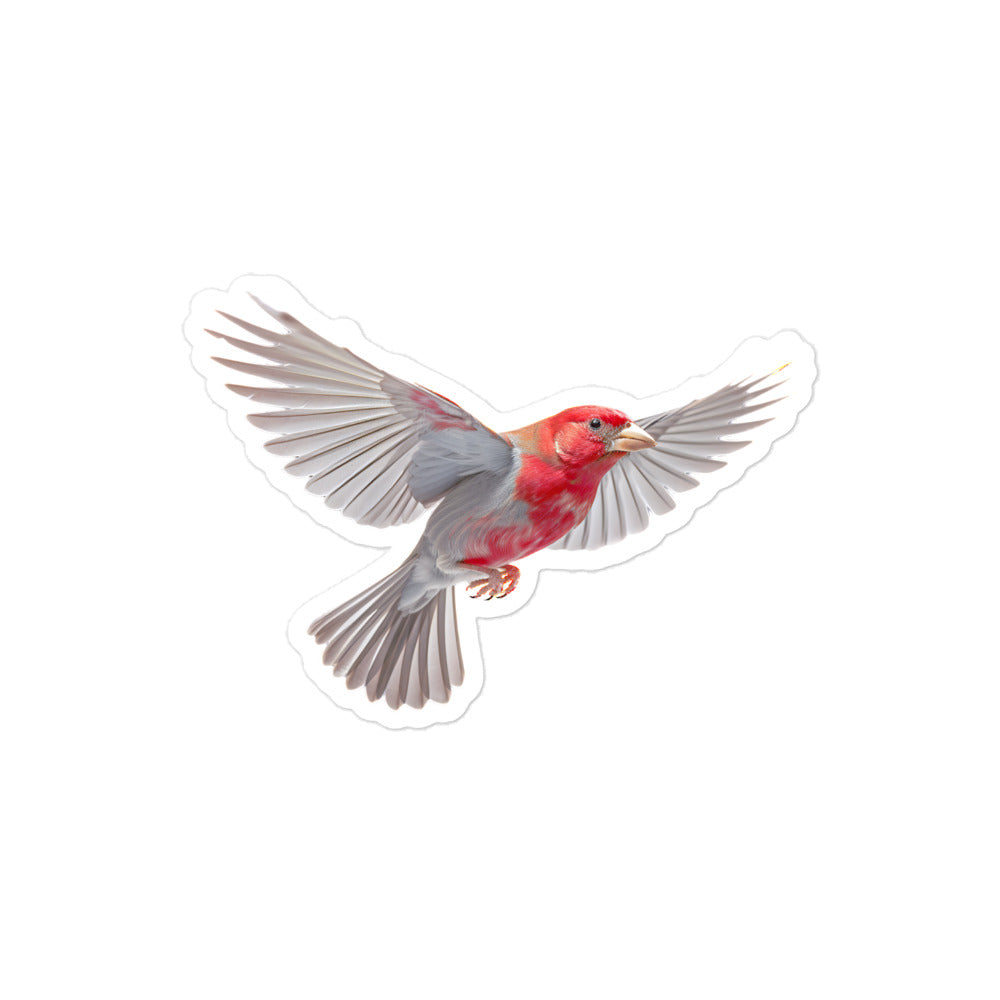 Red Headed Finch Sticker - Stickerfy.ai