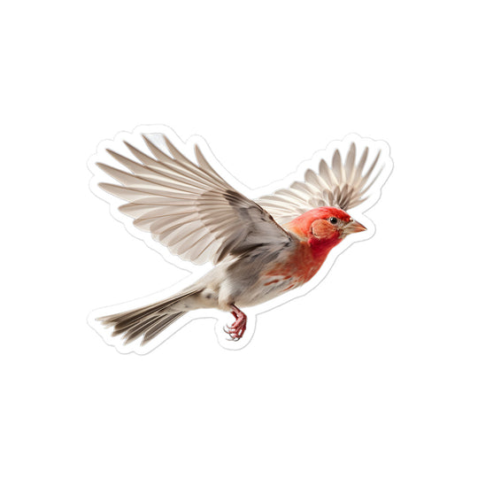 Red Headed Finch Sticker - Stickerfy.ai