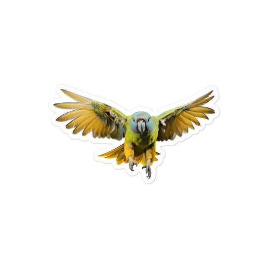 Senegal Parrot Sticker - Stickerfy.ai