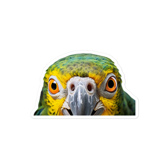 Senegal Parrot Sticker - Stickerfy.ai