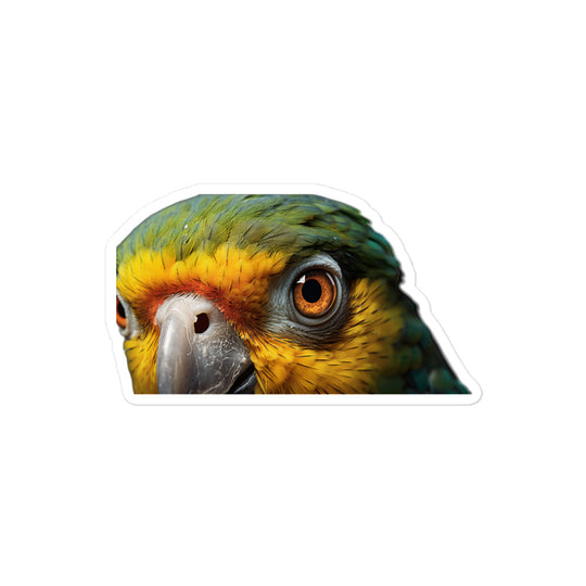 Senegal Parrot Sticker - Stickerfy.ai