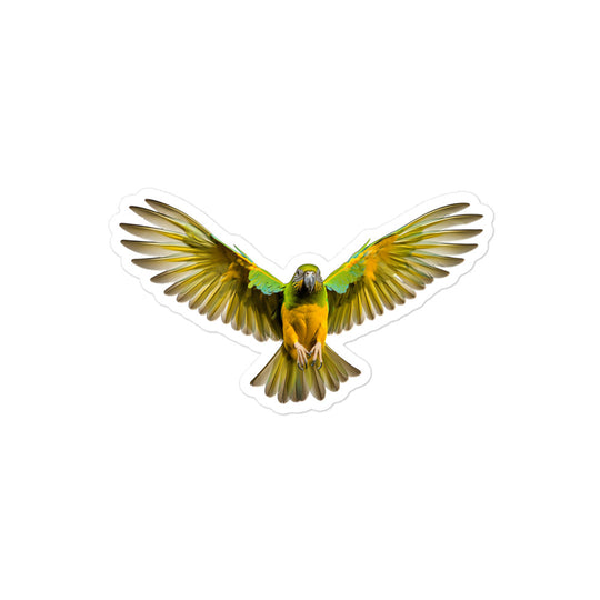 Senegal Parrot Sticker - Stickerfy.ai