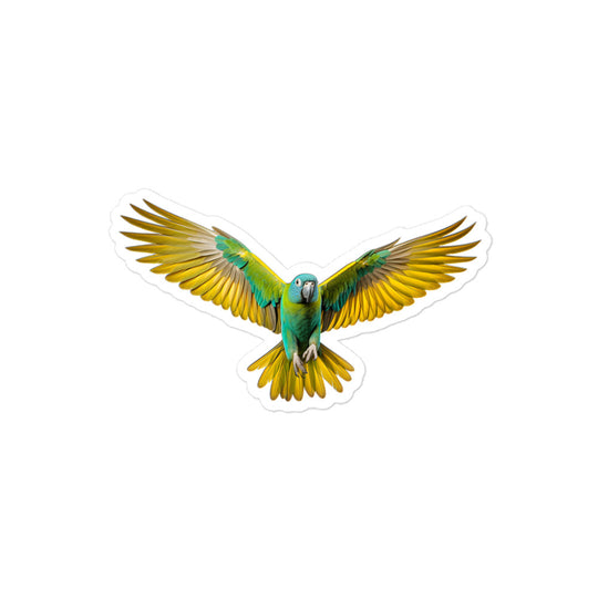 Senegal Parrot Sticker - Stickerfy.ai