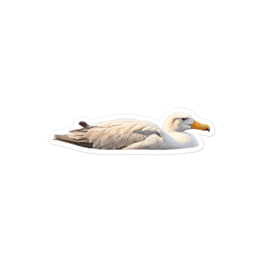 Albatross Sticker - Stickerfy.ai