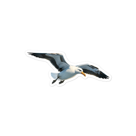 Albatross Sticker - Stickerfy.ai