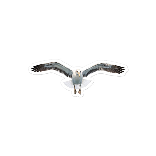 Albatross Sticker - Stickerfy.ai