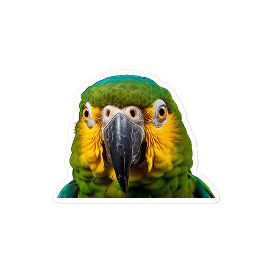 Blue Fronted Amazon Parrot Sticker - Stickerfy.ai