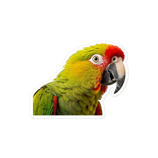 Amazon Parrot Sticker - Stickerfy.ai