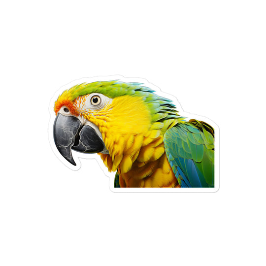 Amazon Parrot Sticker - Stickerfy.ai