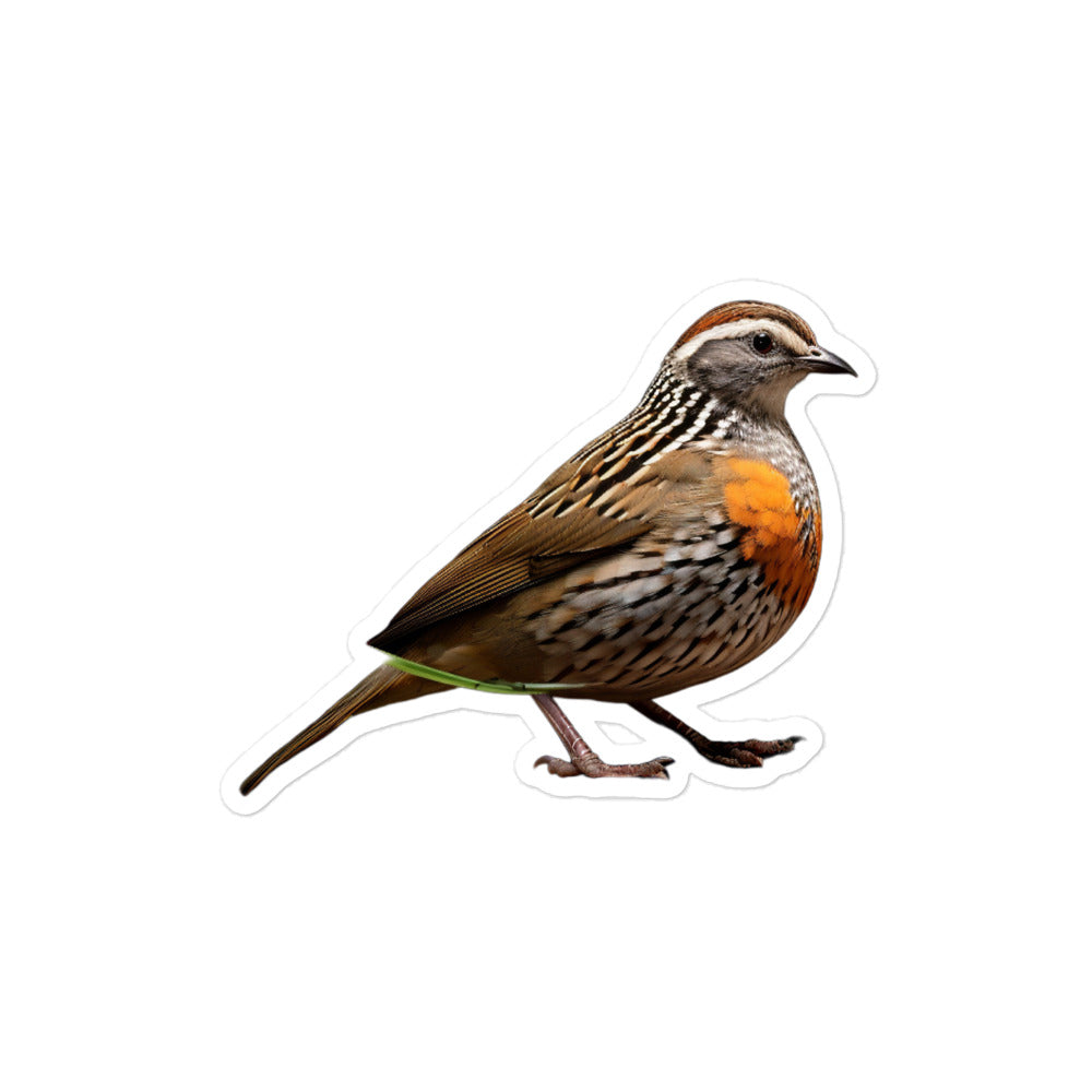 Quail Sticker - Stickerfy.ai