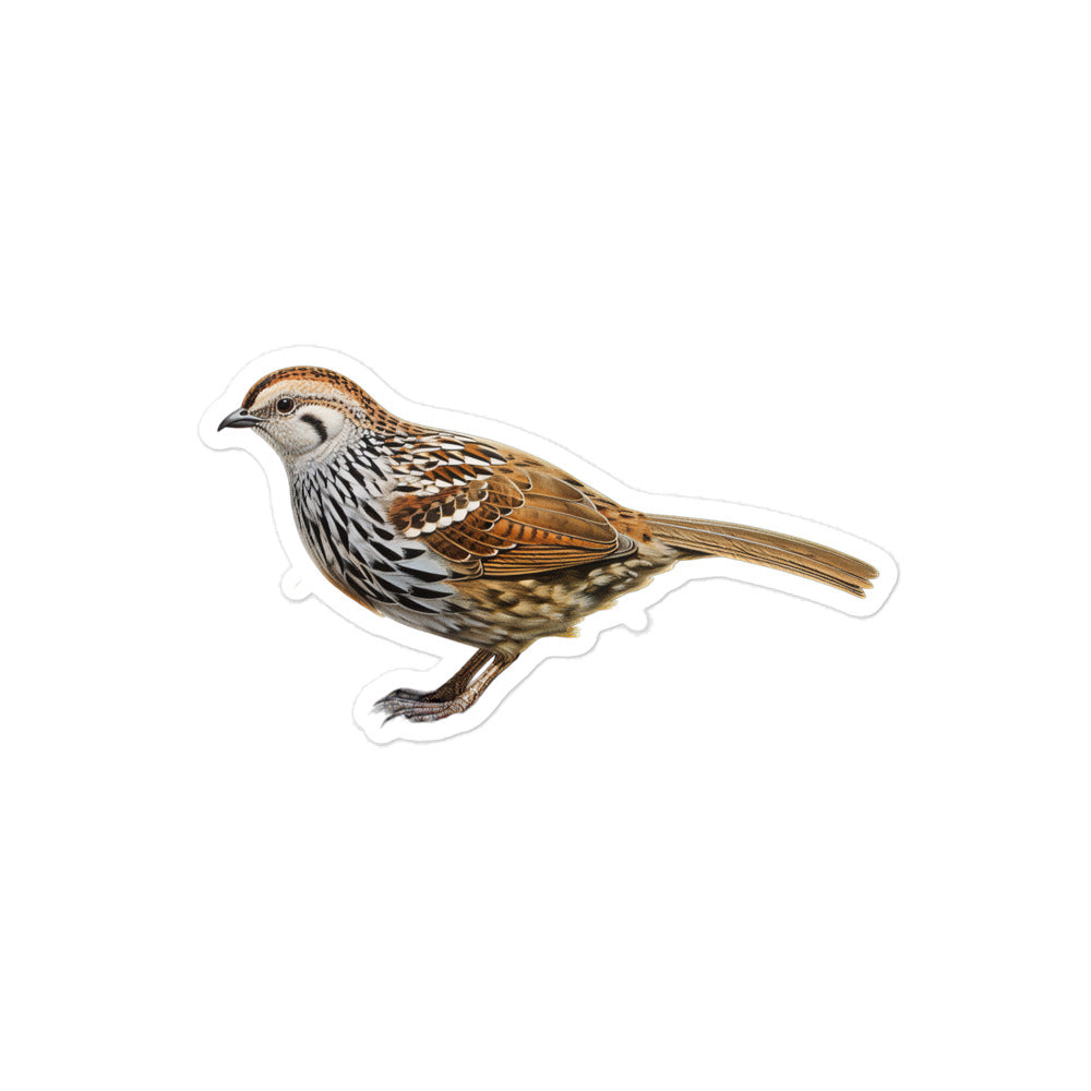 Quail Sticker - Stickerfy.ai