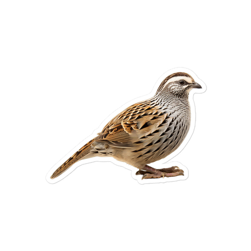 Quail Sticker - Stickerfy.ai