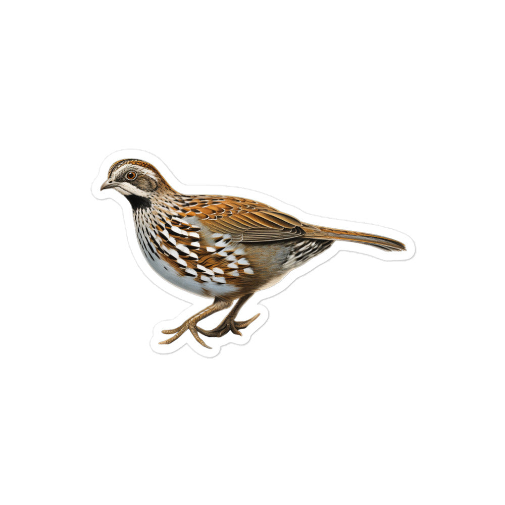 Quail Sticker - Stickerfy.ai