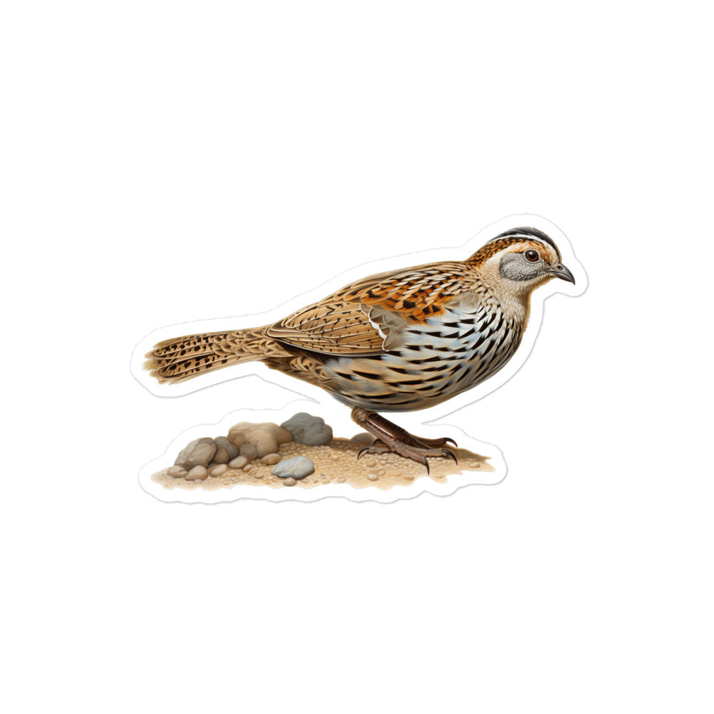 Quail Sticker - Stickerfy.ai