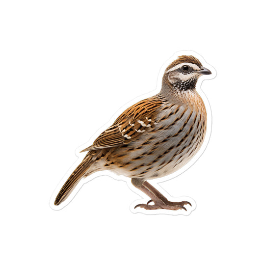 Quail Sticker - Stickerfy.ai