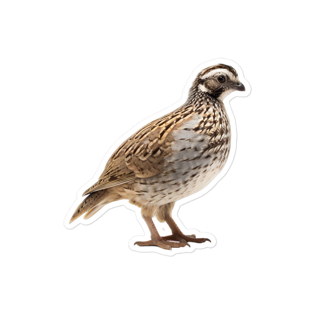 Quail Sticker - Stickerfy.ai