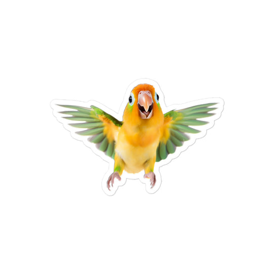 Fischer's Lovebird Sticker - Stickerfy.ai