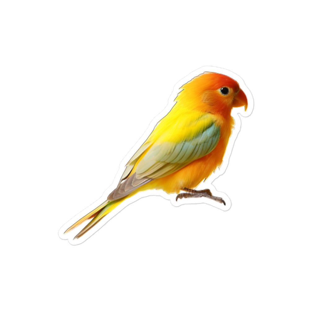 Fischer's Lovebird Sticker - Stickerfy.ai