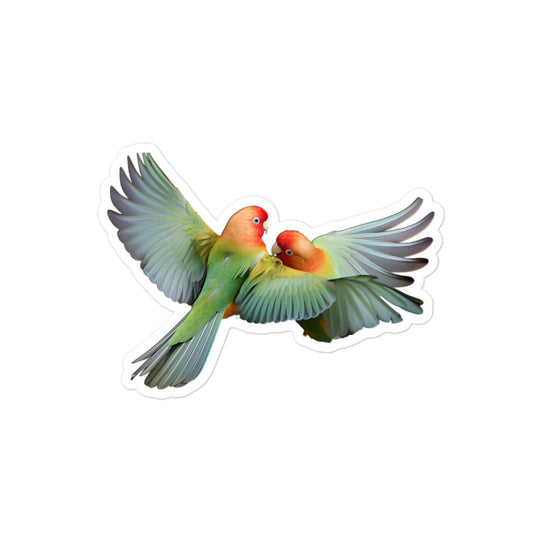 Fischer's Lovebird Sticker - Stickerfy.ai