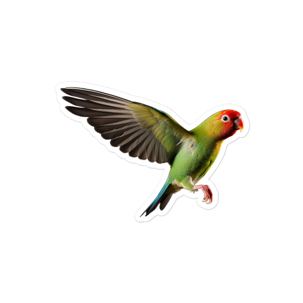 Fischer's Lovebird Sticker - Stickerfy.ai