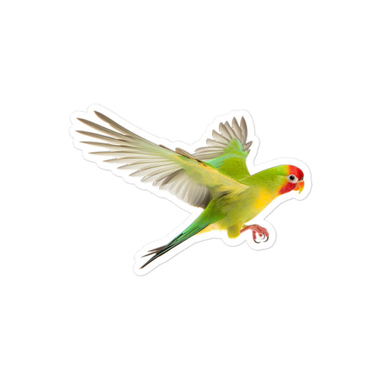 Fischer's Lovebird Sticker - Stickerfy.ai