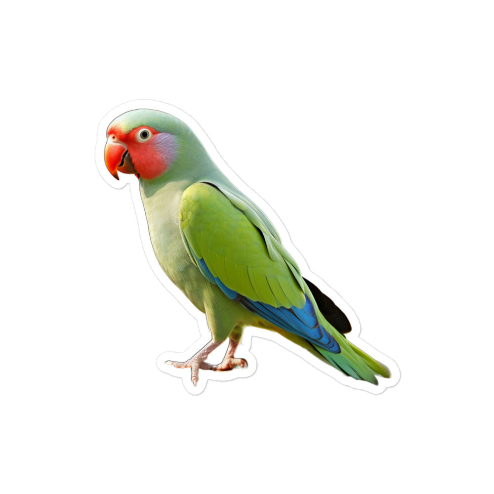 Alexandrine Parakeet Sticker - Stickerfy.ai